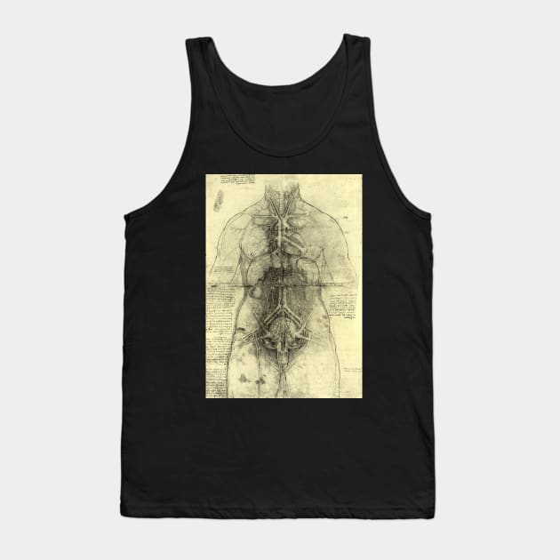 Human Anatomy Female Torso by Leonardo da Vinci Tank Top by MasterpieceCafe